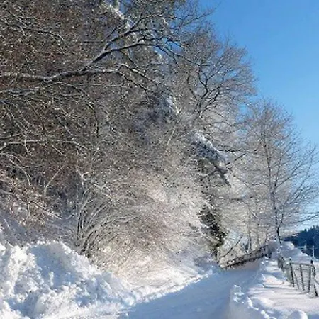 Hauer Hof Wegscheid